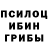 Псилоцибиновые грибы ЛСД white soya