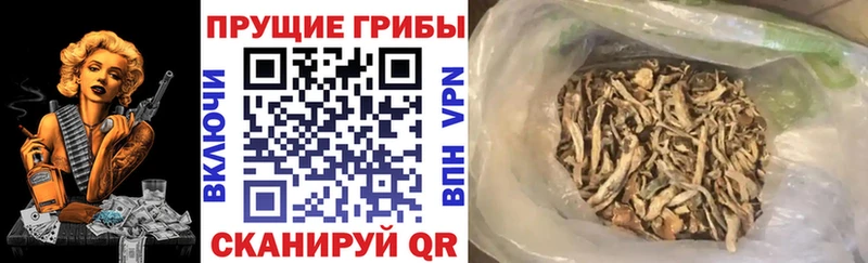 Галлюциногенные грибы мицелий Славянск-на-Кубани